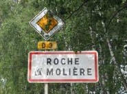 Achat vente immeuble Roche La Moliere