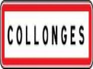 Achat vente bureau, local Collonges