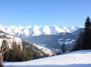 Achat vente Le Grand Bornand