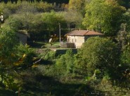 Achat vente maison de village / ville Saint Forgeux