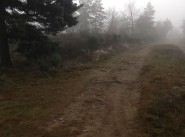 Achat vente Saint Marcellin En Forez