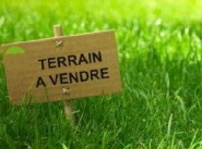 Achat vente terrain Champis