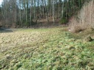 Achat vente terrain Marignier