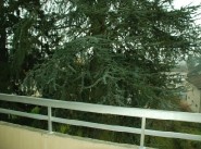 Appartement t5 et plus Belleville