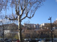 Appartement t5 et plus Lyon 06