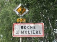 Immeuble Roche La Moliere