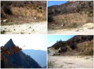 Immobilier Barret De Lioure