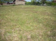 Immobilier Lupe