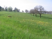 Immobilier Murinais