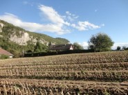 Immobilier Rochefort