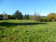 Immobilier Saint Haon Le Vieux