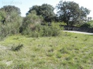 Immobilier Solerieux