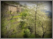 Maison de village / ville Jaujac