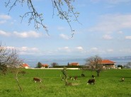 Maison de village / ville Maxilly Sur Leman