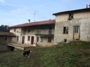 Mas, bastide Violay