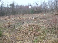 Terrain Chuyer
