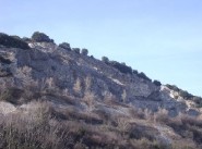 Terrain Cornas