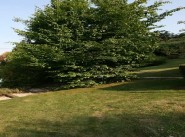 Terrain Genilac