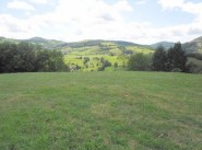 Terrain Saint Forgeux