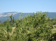 Terrain Vimines